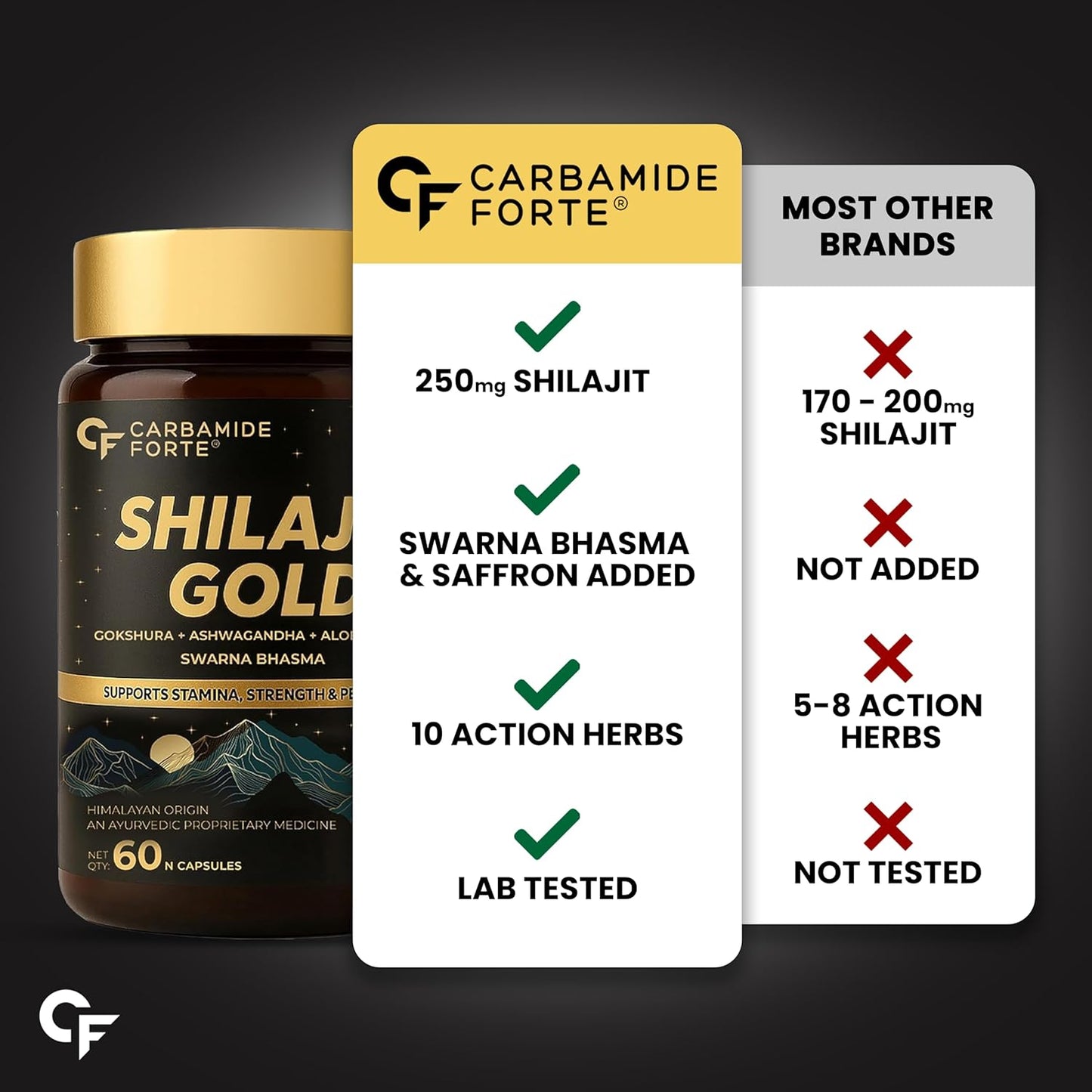 SHILAJIT GOLD CAPSULE-ENERGY BOOST